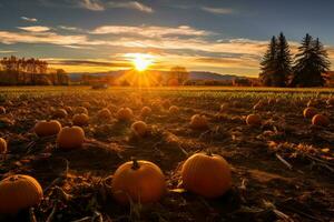 im diese Halloween - - thematisch Foto, das festlich Geist von ein Kürbis Patch Ernte. generativ ai foto