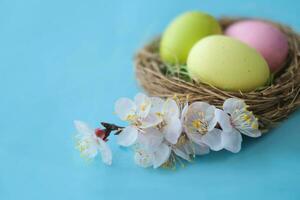 Ostern Hintergrund mit Ostern Eier und Frühling Blumen. oben Aussicht mit Kopieren Raum foto