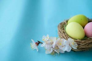 Ostern Hintergrund mit Ostern Eier und Frühling Blumen. oben Aussicht mit Kopieren Raum foto