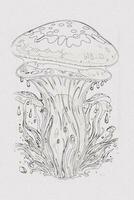ein handgemalt skizzieren von ein Pilz Gliederung Illustration auf Weiß Textur Hintergrund foto