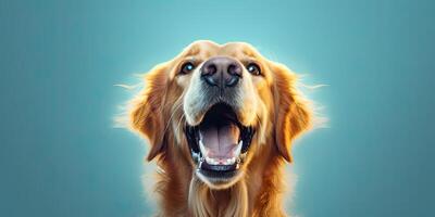 Hund Porträt auf ein minimal Blau Hintergrund zum Banner ai generativ foto