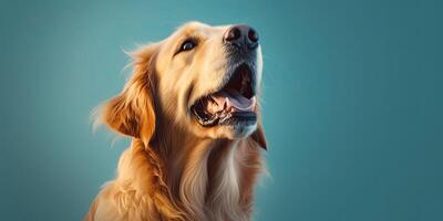 Hund Porträt auf ein minimal Blau Hintergrund zum Banner ai generativ foto