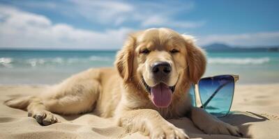 golden Retriever Hund ist auf Sommer- Ferien beim Strand Resort und entspannend sich ausruhen auf Sommer- Strand von Hawaii. ai generativ foto