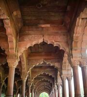 architektonisch Einzelheiten von lal qila - - rot Fort gelegen im alt Delhi, Indien, Aussicht Innerhalb Delhi rot Fort das berühmt indisch Sehenswürdigkeiten foto