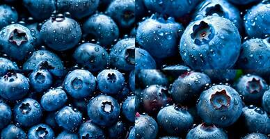 frisch reif groß Blaubeeren, einstellen von 4 Stck Öko Hintergründe - - ai generiert Bild foto