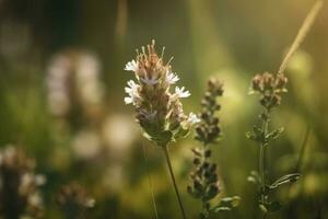 Wiese Blumen, erstellt mit generativ ai foto