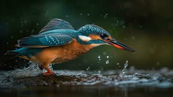 Nahansicht Fluss Eisvogel Vogel ist Jagd Über Fluss mit verwischen Hintergrund, ai generativ foto