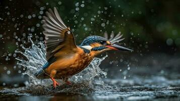 Fluss Eisvogel Vogel ist Jagd Über Fluss mit verwischen Hintergrund, ai generativ foto