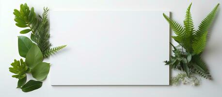 Foto von ein Pflanze auf ein leer Blatt von Papier, perfekt zum Hinzufügen Ihre besitzen Text oder Design mit Kopieren Raum