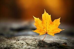 Herbst Komposition mit Kopieren Raum ai generativ foto