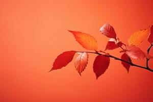 Herbst Komposition mit Kopieren Raum ai generativ foto