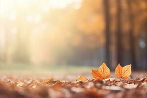 Herbst Komposition mit Kopieren Raum ai generativ foto