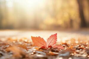 Herbst Komposition mit Kopieren Raum ai generativ foto