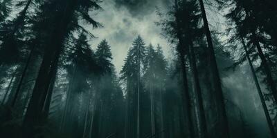 ai generiert. ai generativ. Nebel Magie Nebel Nacht dunkel Wald Baum Urwald Landschaft Hintergrund. unheimlich Natur draussen Abenteuer erkunden Reise Stimmung Stil. Grafik Kunst foto