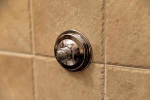 Chrom-Badezimmer-Spülknopf zum Spülen der Toilette foto