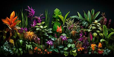 ai generiert. ai generativ. notanisch Kräuter- exotisch tropisch Pflanzen Kräuter Blumen botanisch Laub Hintergrund Natur Urwald lanfscape. Grafik Kunst foto