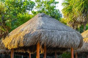 Palapa mit Stroh gedeckt Dächer Palmen Sonnenschirme Sonne Liegen Strand Resort Mexiko. foto