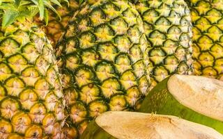 tropisch Obst Stall mit Ananas und Kokosnuss im Tulum Mexiko. foto