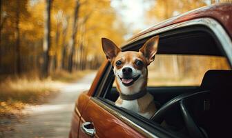 Hund genießen von Reisen durch Wagen. Nova schottland Ente gebührend Retriever suchen durch Fenster auf Straße. erstellt mit generativ ai Technologie. foto