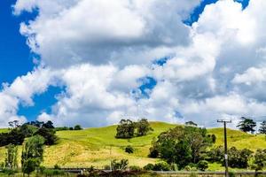 Weite Aussichten rund um Dargaville, Neuseeland foto