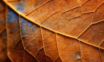 Herbst Blatt texturiert Hintergrund. kreativ Wald Blatt Banner. zum Postkarte, Buch Illustration erstellt mit generativ ai Werkzeuge foto