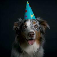 Porträt von australisch Schäfer Hund mit Geburtstag Hut auf schwarz Hintergrund foto