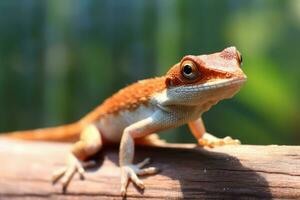 süß anole im Natur, National Erdkunde, breit Leben Tiere. ai generiert. foto