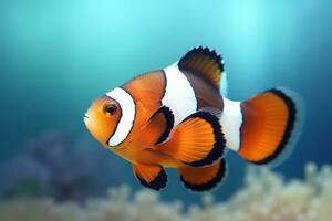 sehr süß Clownfisch im Natur, National Erdkunde, breit Leben Tiere. ai generiert. foto