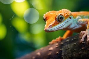 Geckos im Natur, National Erdkunde, breit Leben Tiere. ai generiert. foto