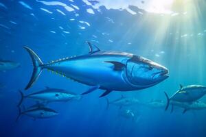 Thunfisch im Natur, National Erdkunde, breit Leben Tiere. ai generiert. foto