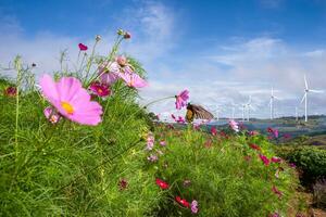 schöne blume und windmühle mit blauem himmel foto