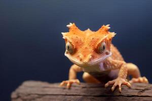 süß mit Haube Geckos im Natur, National Erdkunde, breit Leben Tiere. ai generiert. foto