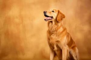 süß golden Retriever im Natur, National Erdkunde, breit Leben Tiere. ai generiert. foto