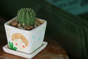 Mini saftig Kaktus im ein Topf süß Karikatur Illustration. perfekt zum Ihre Tabelle oder Zimmer Dekoration. foto
