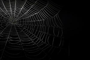 Spinnennetz mit dunkel Hintergrund, Makro Spinne Netz mit Wasser Tropfen, ai generiert foto