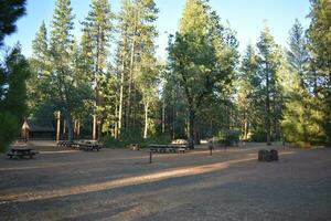 rustikal Campingplatz Bäume, Bank und Picknick Tabellen foto