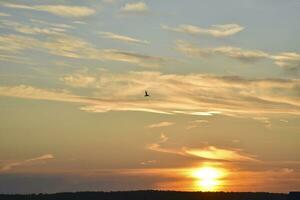 schön Sommer- Sonnenuntergang Abend. Blau Gelb Wolken von das Rahmen Sonne. Sonnenuntergang Horizont. foto