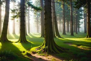 ein Landschaft von verzaubert Wald Baum und ätherisch glühen Sonnenlicht foto