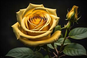 schön Gelb Rose auf schwarz Hintergrund, Nahaufnahme. ai generativ foto