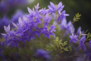 lila Blumen Blühen im das Garten, Sanft Fokus Hintergrund. generativ ai foto