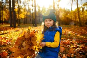 Lebensstil Porträt. bezaubernd Kind, bezaubernd Baby Mädchen im hell bunt warm Kleider Sitzung im Herbst golden Park mit gesammelt Strauß von trocken gefallen Ahorn Blätter beim Sonnenuntergang mit fallen Sonnenstrahlen foto