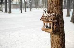Taube. Taube im ein hölzern Vogelhaus auf ein Baum im ein Winter schneebedeckt Park. Tier Pflege Konzept foto