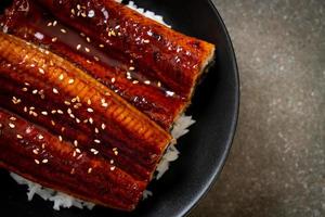 japanischer Aal gegrillt mit Reisschüssel oder Unagi Don