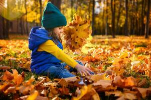 glücklich erstaunt wenig Kind, bezaubernd Mädchen im bunt warm Kleider genießen draussen Spiele im schön Herbst golden Park, Versammlung trocken Gelb gefallen Ahorn Blätter und Sammeln süß Strauß beim Sonnenuntergang foto