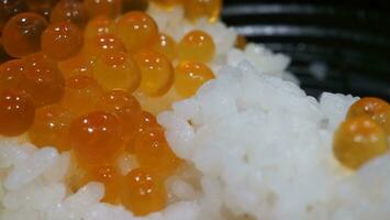 schließen oben von Sashimi Lachs Rogen mit Reis Schüssel oder Donburi im japanisch Stil Lebensmittel. foto