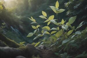 Grün Blätter im das Wald mit Sonnenlicht und Bokeh Hintergrund. generativ ai foto