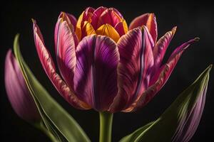Strauß von bunt Blume auf ein solide Farbe Hintergrund, schließen hoch. ai generativ foto