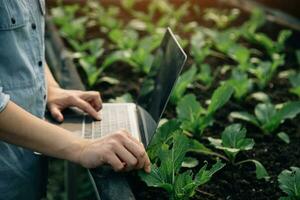 asiatisch Frau Farmer mit Digital Tablette im Gemüse Garten beim Gewächshaus, Geschäft Landwirtschaft Technologie Konzept, Qualität Clever Bauer. foto