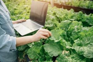 asiatisch Frau Farmer mit Digital Tablette im Gemüse Garten beim Gewächshaus, Geschäft Landwirtschaft Technologie Konzept, Qualität Clever Bauer. foto