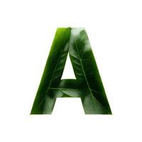 Grün Blatt Typografie Text Design Großbuchstaben Alphabet A, ai generativ foto